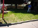 before_front_yard