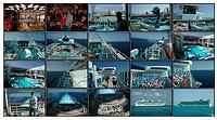 Cruise Picts Posted