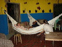 trying_out_the_hammocks