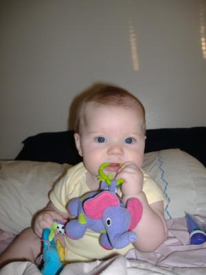 Yummy Elephant!