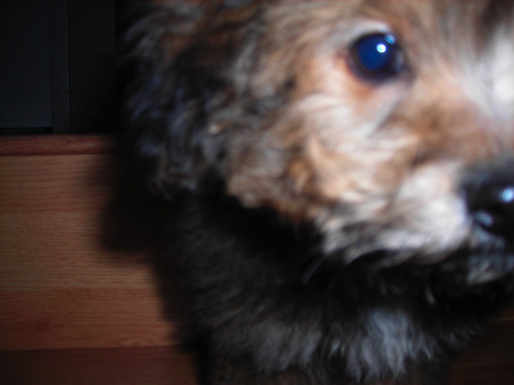 dscn2890.jpg