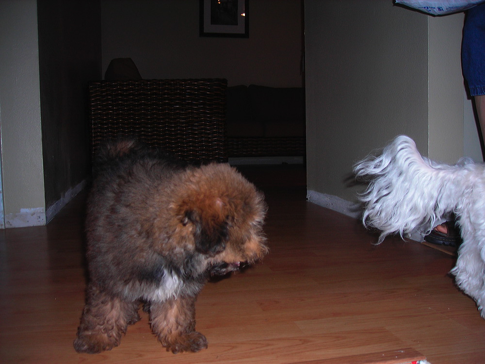 dscn2891.jpg