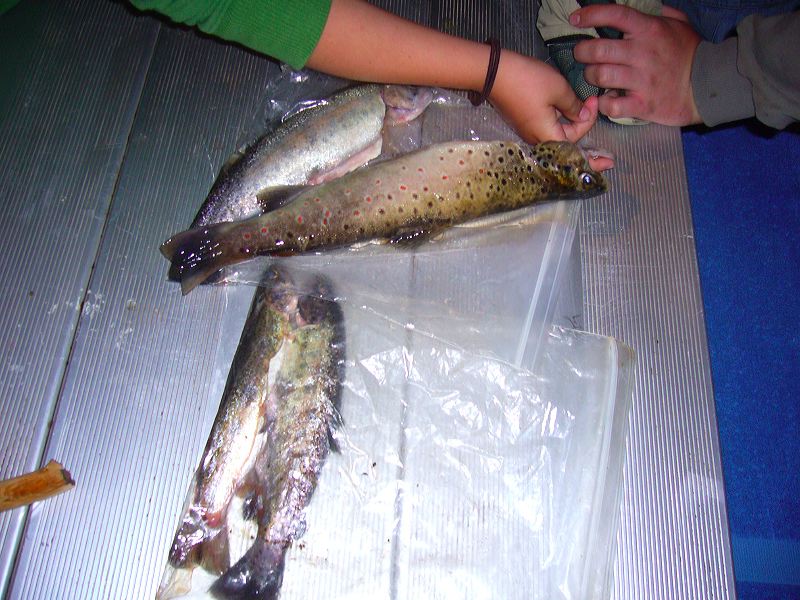 p1000500.jpg