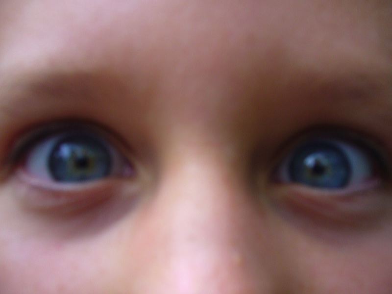 p1000535.jpg