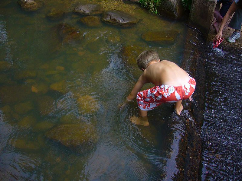 p1000575.jpg