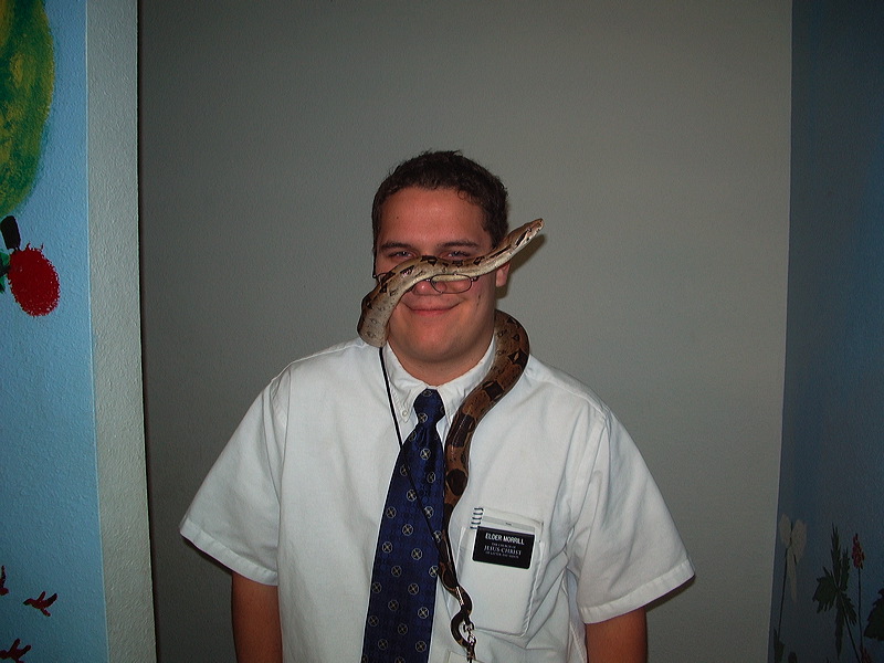 imgp0905.jpg