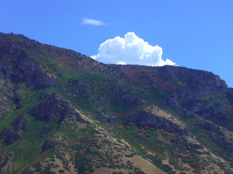 p1000836.jpg