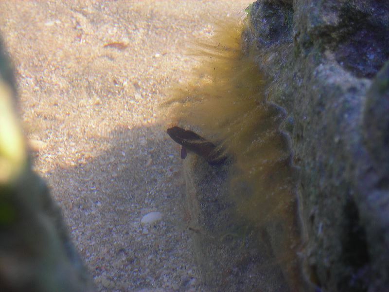 dscn2180.jpg