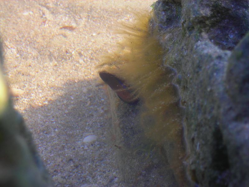 dscn2181.jpg