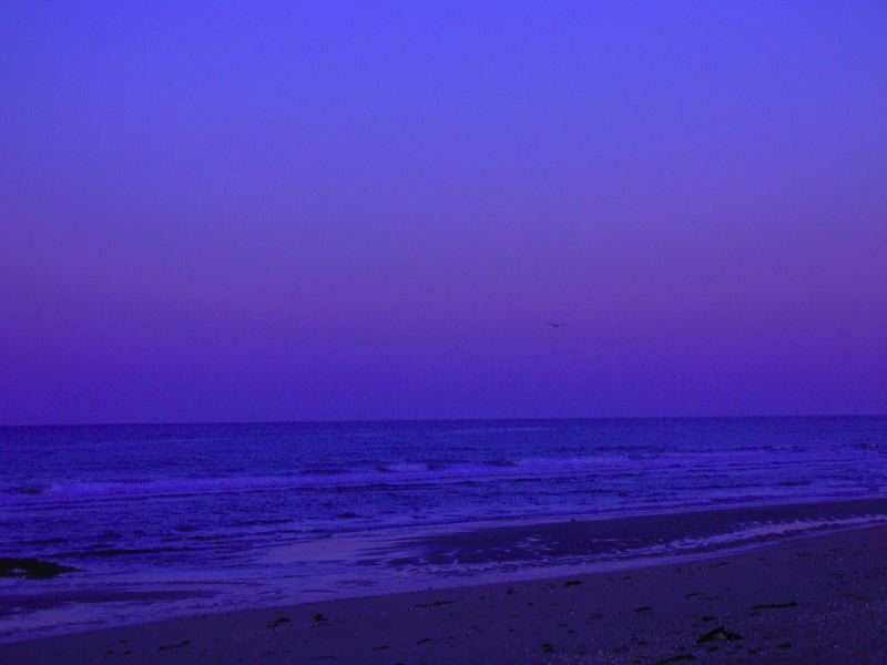 dscn2345.jpg