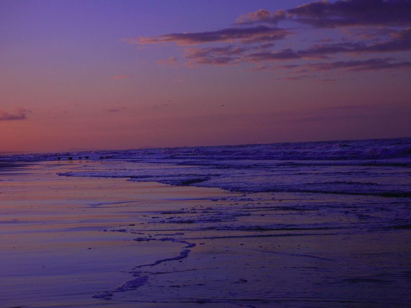 dscn2353.jpg