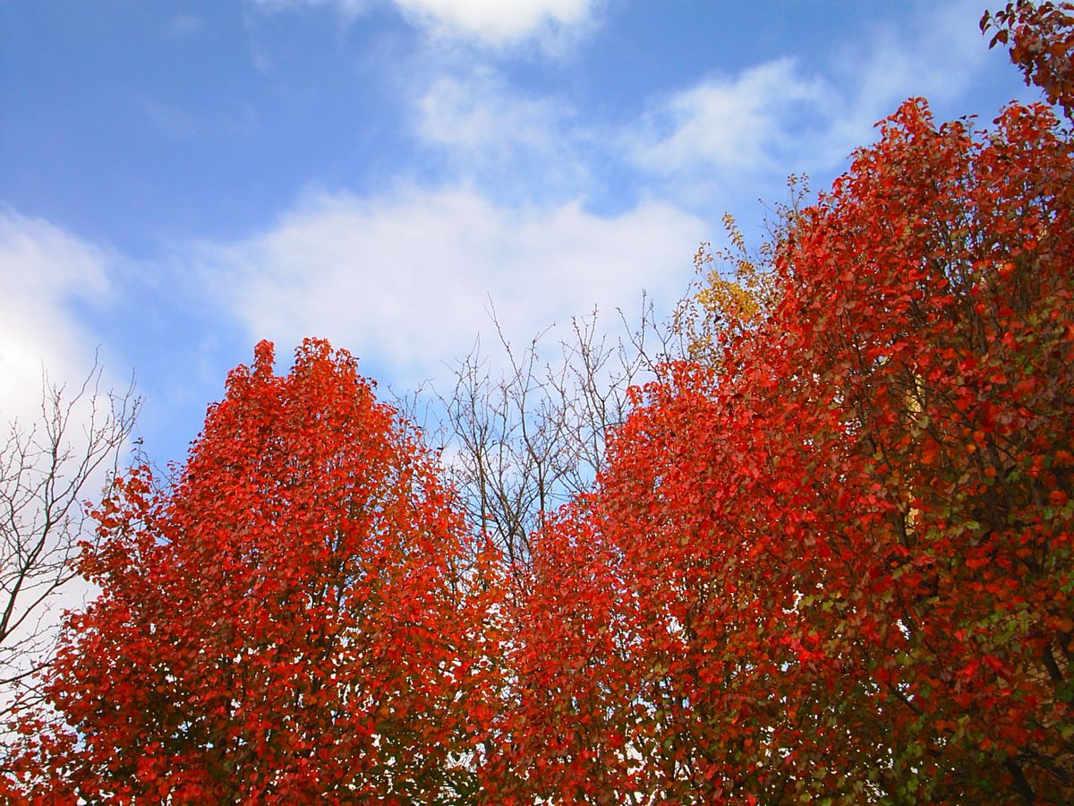 s3010635.jpg