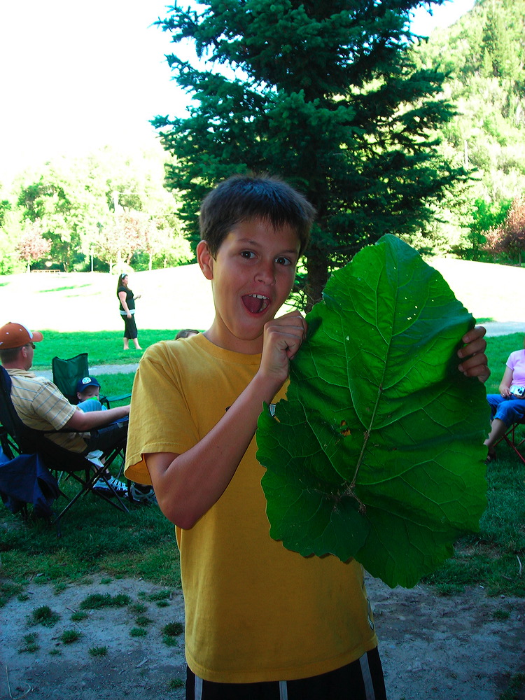 dscn2521.jpg
