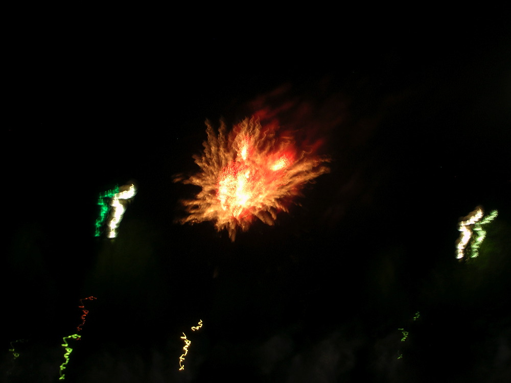 dscn2769.jpg
