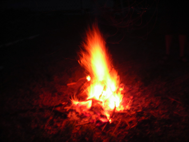 dscn0545.jpg