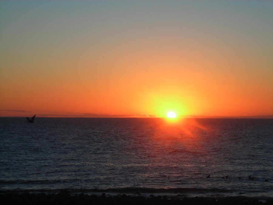 dscn1939.jpg
