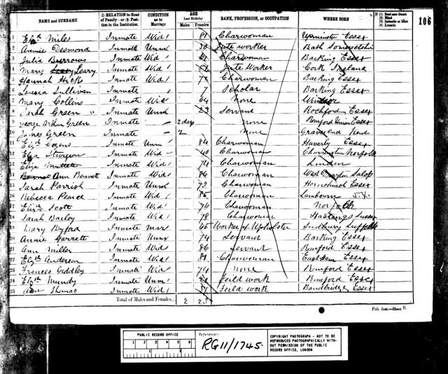 1881 Census for Hannah Wenlock Hicks? 1881 Census for Hannah Wenlock Hicks?