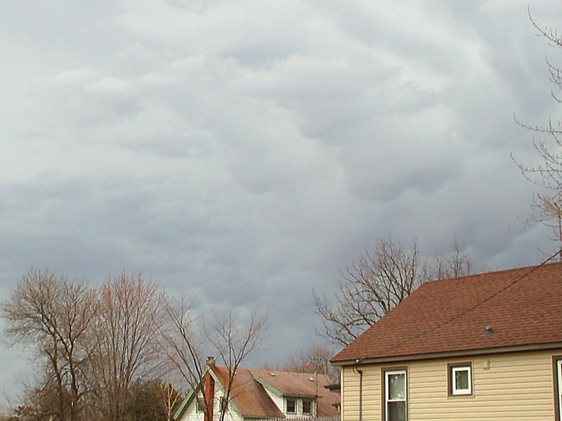 s3010065.jpg