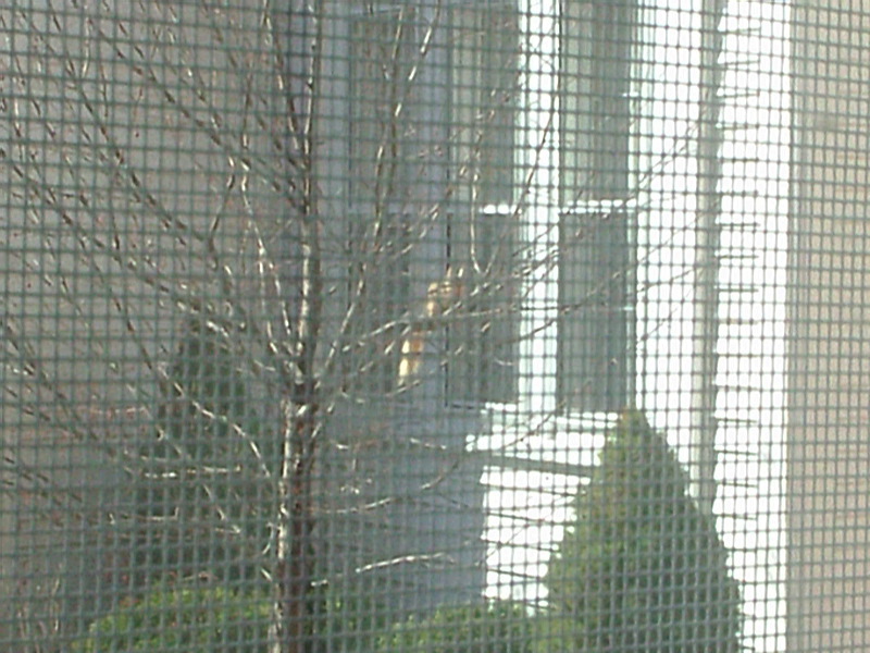 s3010078.jpg