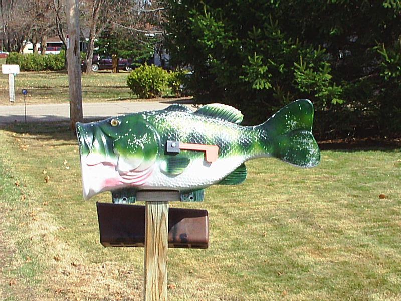 s3010117.jpg