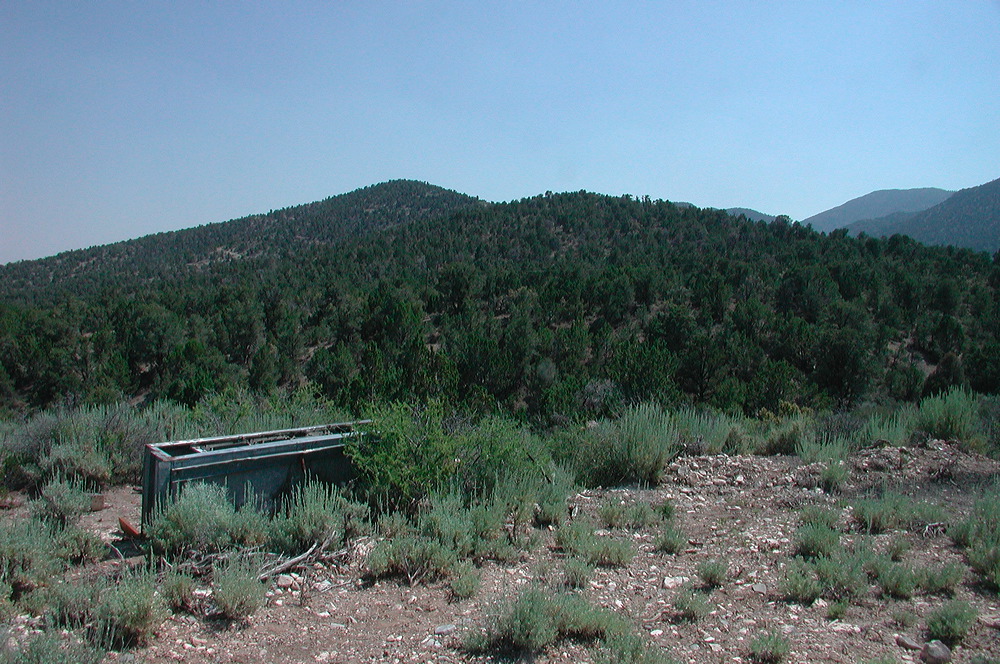 dscn7714.jpg