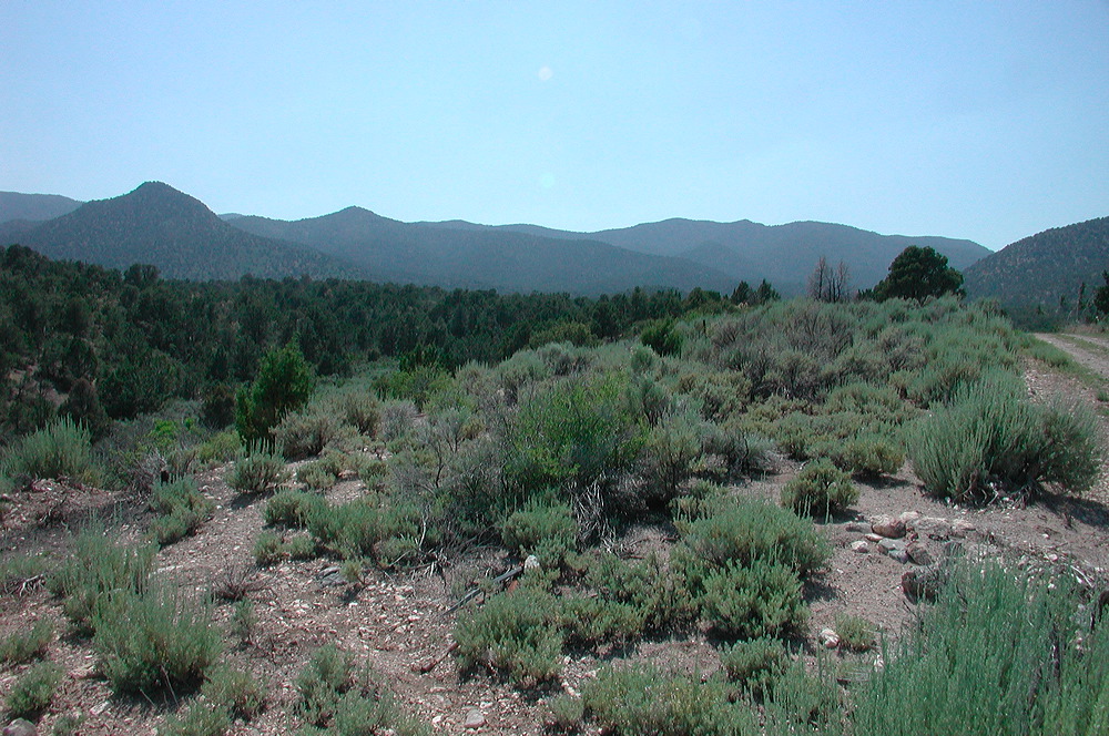 dscn7716.jpg