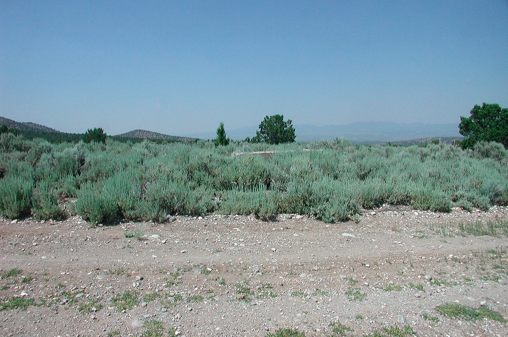 dscn7720.jpg