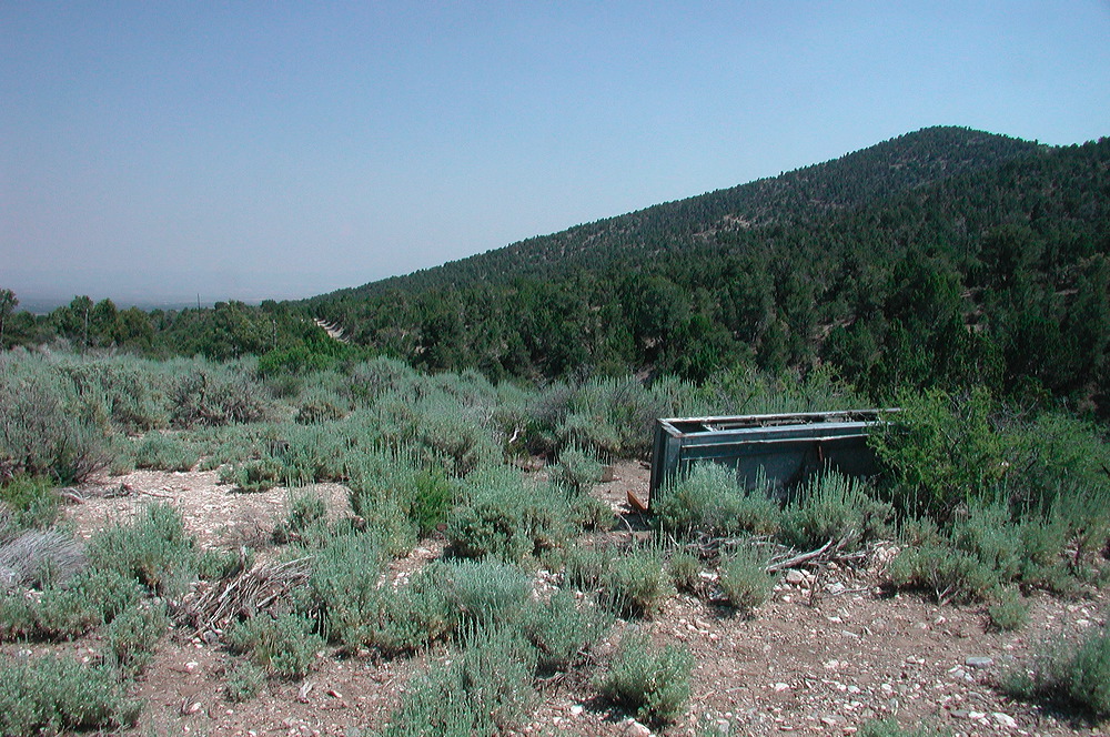 dscn7724.jpg