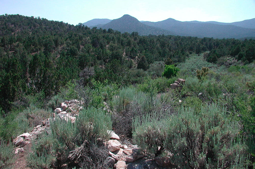 dscn7727.jpg