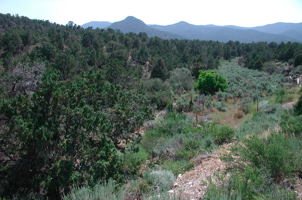 dscn7732.jpg