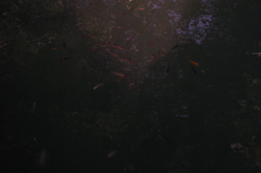 dscn7753.jpg